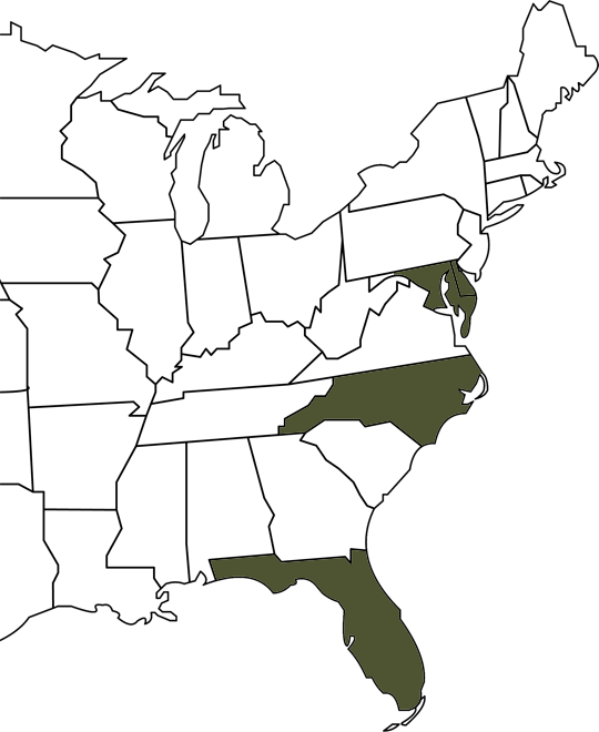 gaines-co-service-location